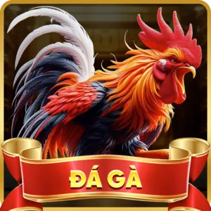 Đá Gà Trực Tiếp Fi88